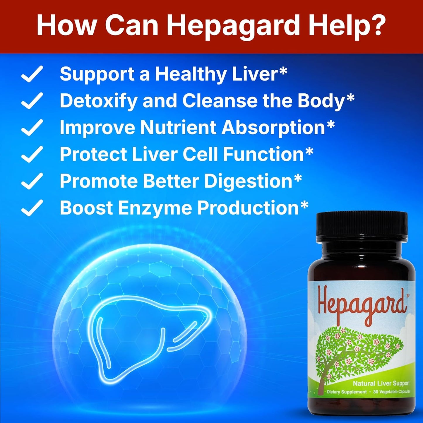 Hepagard Natural Liver Support Supplement with NAC, Vegan, Gluten-Free | Promotes Healthy Liver Function, Detox, and Cleanse with Milk Thistle for Less Bloating and Better Digestion, 30-Day Supply