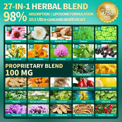 VivoNu 27-in-1 Liposome Lymphatic Drainage Supplements, 90 Day Supply with Echinacea, Chlorophyll, Dandelion, Burdock, Mullein Leaf Extract for Lungs, 10:1 Concentrated Technology, 90 Capsules