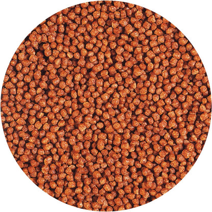 Hikari Tropical Betta Bio-Gold Fish Food, 0.70 oz (20g)