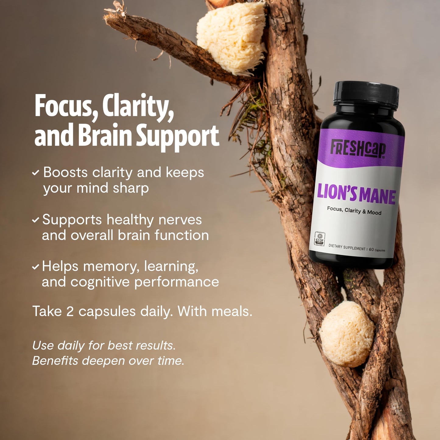 FreshCap Mushrooms Premium Organic Lions Mane Capsules - 14:1 Fruiting Body Extract with 31% Beta-Glucans - 3rd-Party Tested Nootropic for Clarity, Focus & Cognitive Support (120 Capsules)