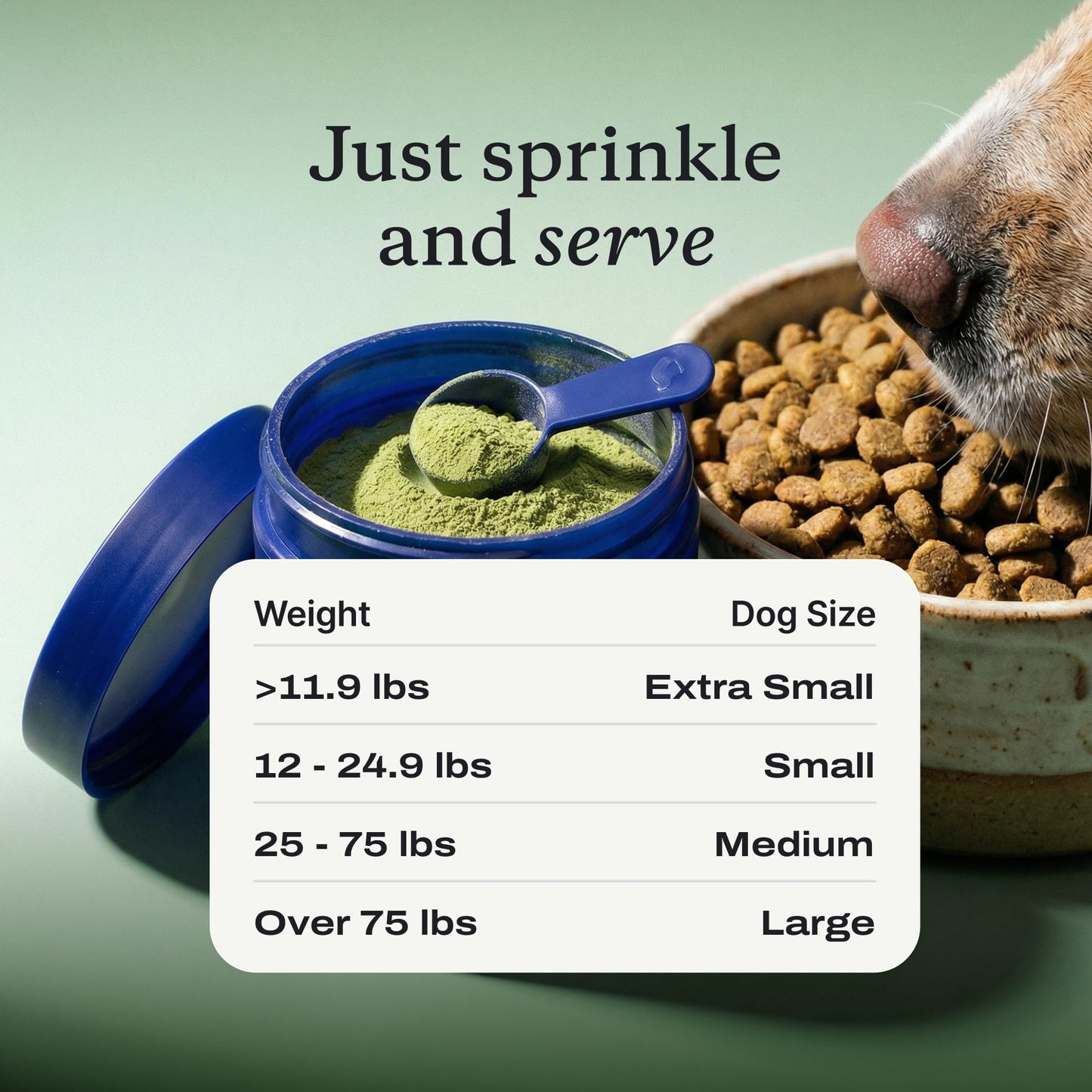 PetLab Co. ProBright Dental Powder for Small Dogs, 30 Scoops | Brown algae, green tea and probiotics in one easy daily scoop to support tartar and fresh breath