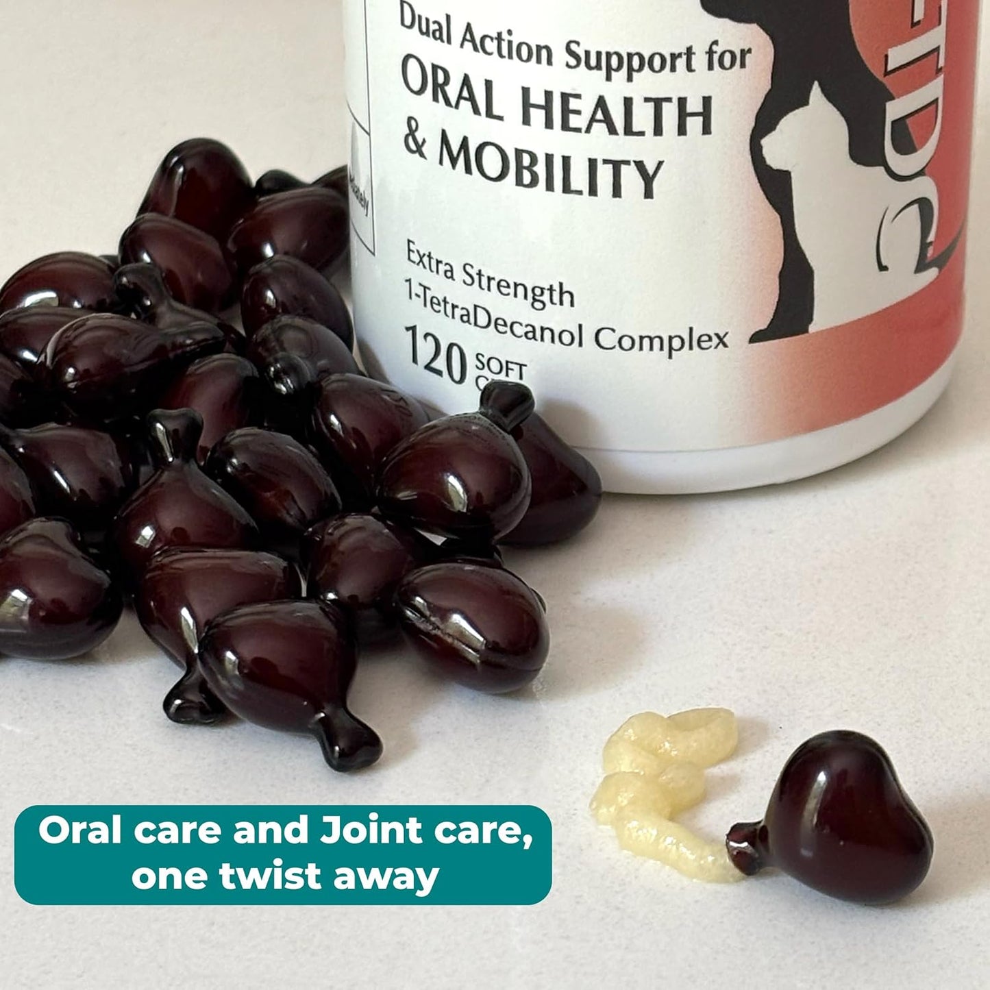 1TDC WorksSoWell Dual Action Hip and Joint Supplement for Dogs & Cats - for Large & Small Breed - Great for Oral Health, Stamina Recovery & Arthritis Pain Relief -120 ct