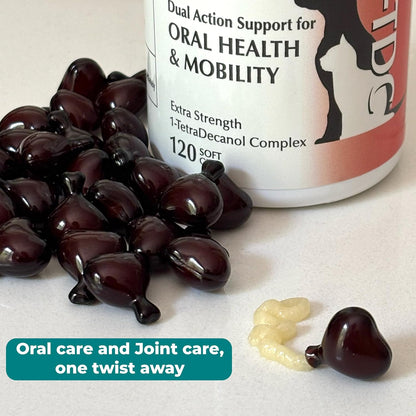 1TDC WorksSoWell Dual Action Hip and Joint Supplement for Dogs & Cats - for Large & Small Breed - Great for Oral Health, Stamina Recovery & Arthritis Pain Relief -120 ct