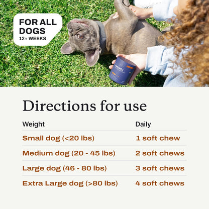 PetLab Co. Itch Relief Chews for Dogs, 30 Soft Chews, Pork | Omega 3-6-9, turmeric, and honey to support dry skin, coat health and immune balance daily