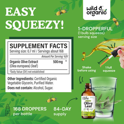 Wild & Organic Olive Leaf Extract Liquid Drops - Immune & Antioxidant Support - Oleuropein Supplement - Add to Tea Olive Leaf Tincture - Vegan, Sugar & Alcohol Free - 4 fl oz