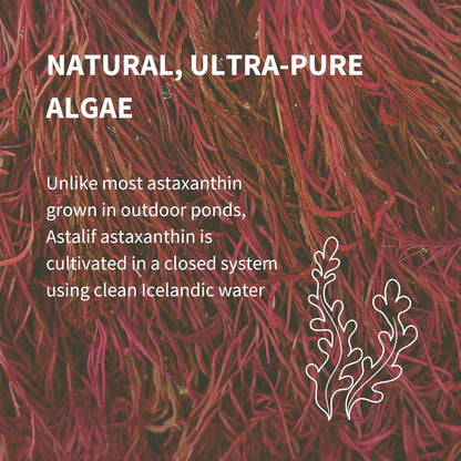 Igennus Vegan Astaxanthin 4mg Complex with Lutein and Zeaxanthin, 90 Small Softgels, from 42 mg Astalif, Natural Algae Antioxidant for Eyes, Skin & Joints, Non-GMO, H. Pluvialis