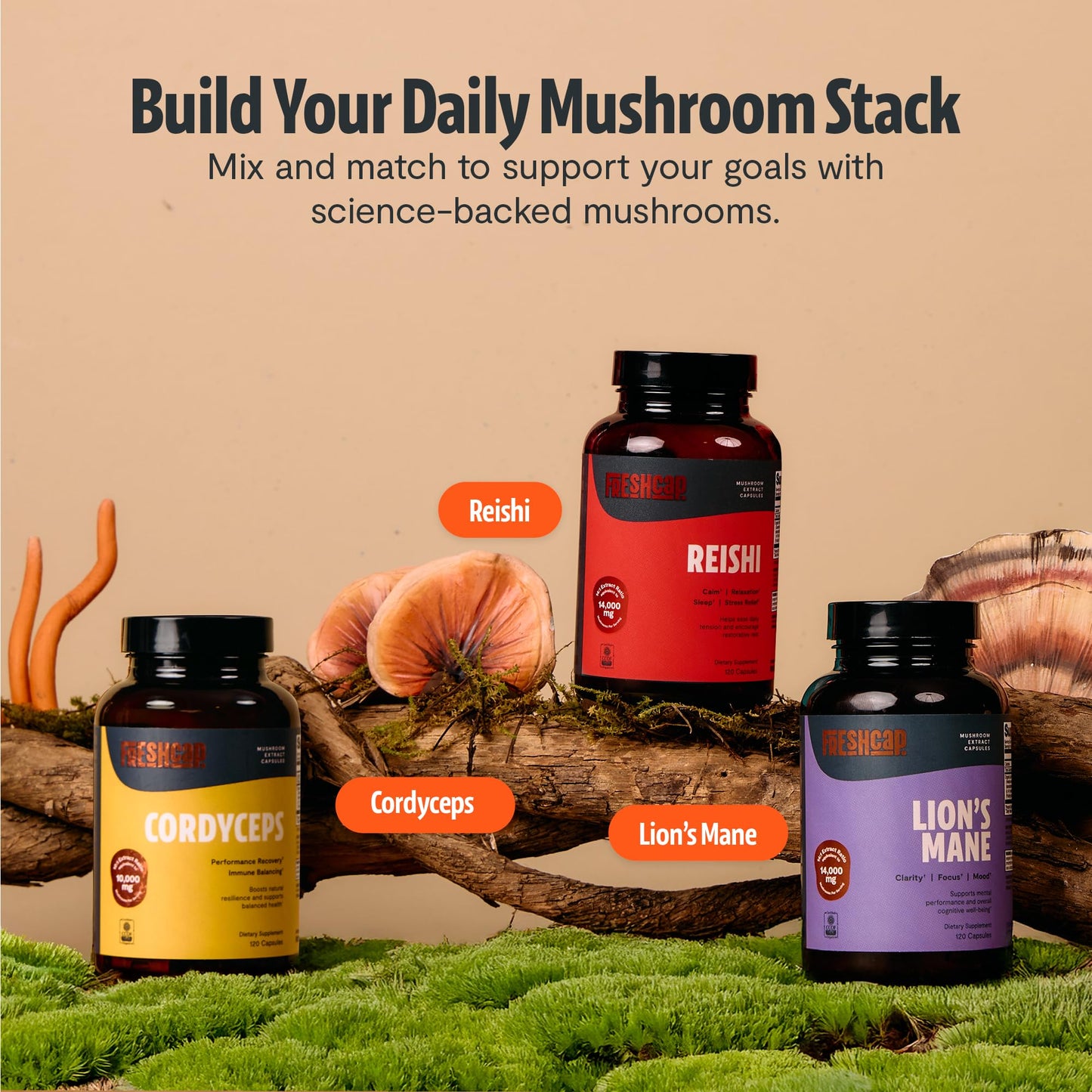 FreshCap Mushrooms Premium Organic Lions Mane Capsules - 14:1 Fruiting Body Extract with 31% Beta-Glucans - 3rd-Party Tested Nootropic for Clarity, Focus & Cognitive Support (120 Capsules)