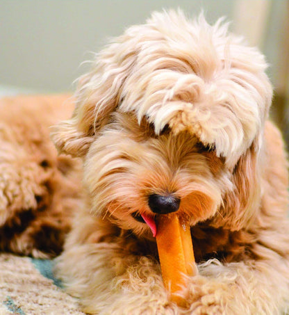 Pup Chewy 4oz - Healthy Himalayan Training Treat for Small Dog