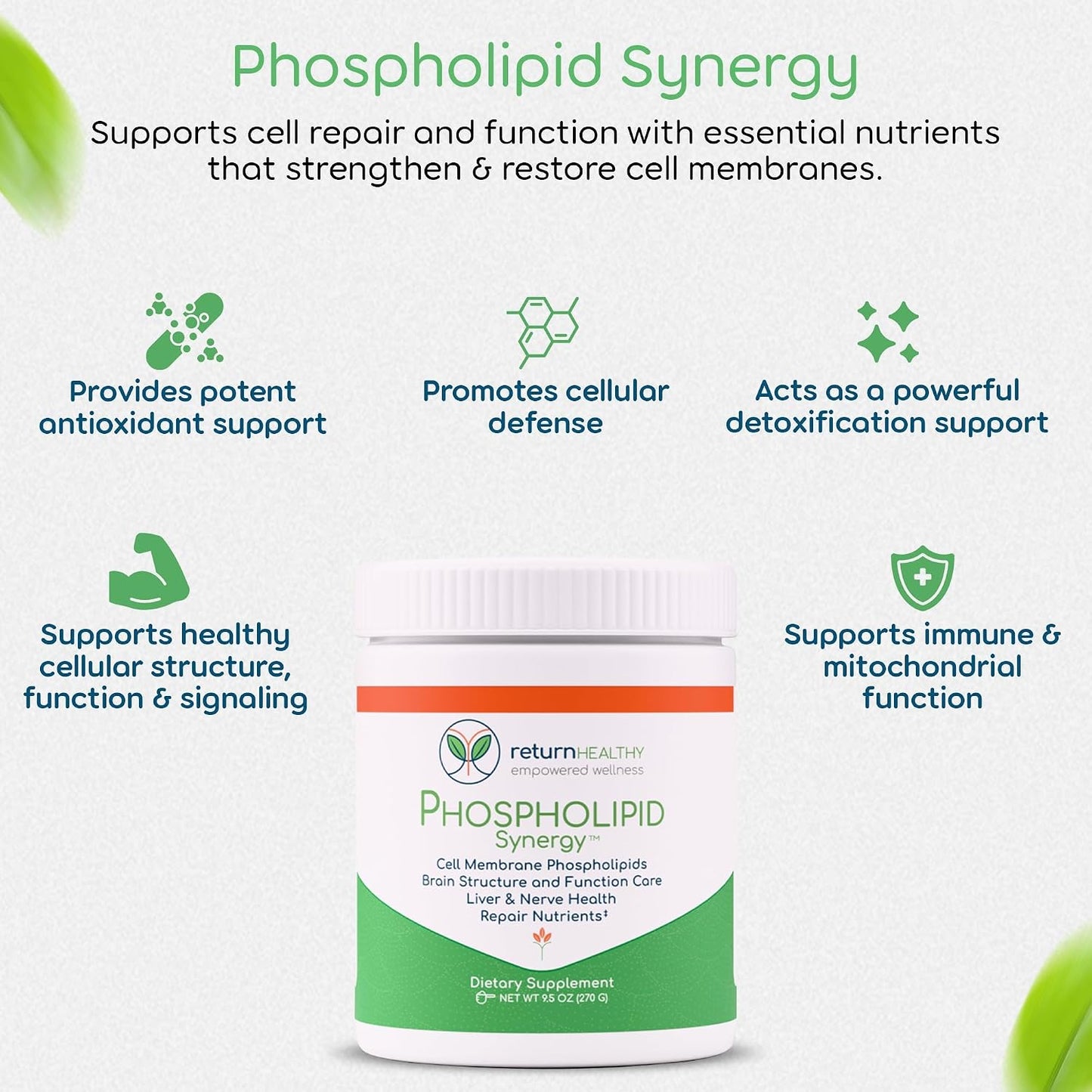 Foundation Plan – 5-Product Daily Wellness Kit with Botanical Ingredients & Phospholipids – Plant-Based, Non-GMO, USA-Made