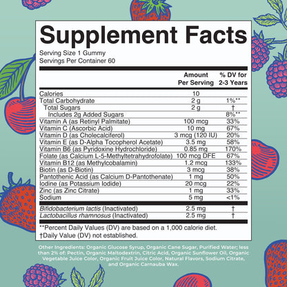 MARYRUTH'S Kids Vitamins USDA Organic | Multivitamin Gummies + Postbiotics for Ages 4+ | Multivitamin for Kids with Lactobacillus Rhamnosus | Children’s Vitamins | Vegan | Non-GMO | 60 Count