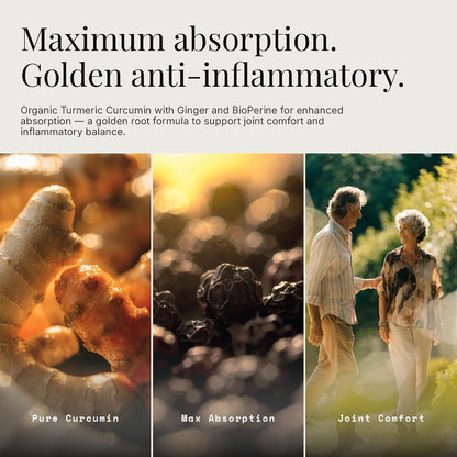 Golden Root - Turmeric Curcumin 95% with BioPerine & Ginger, Organic Turmeric Supplement, 655mg Per Serving, 60 Capsules, Vegan, Non-GMO, Gluten Free, Made in USA