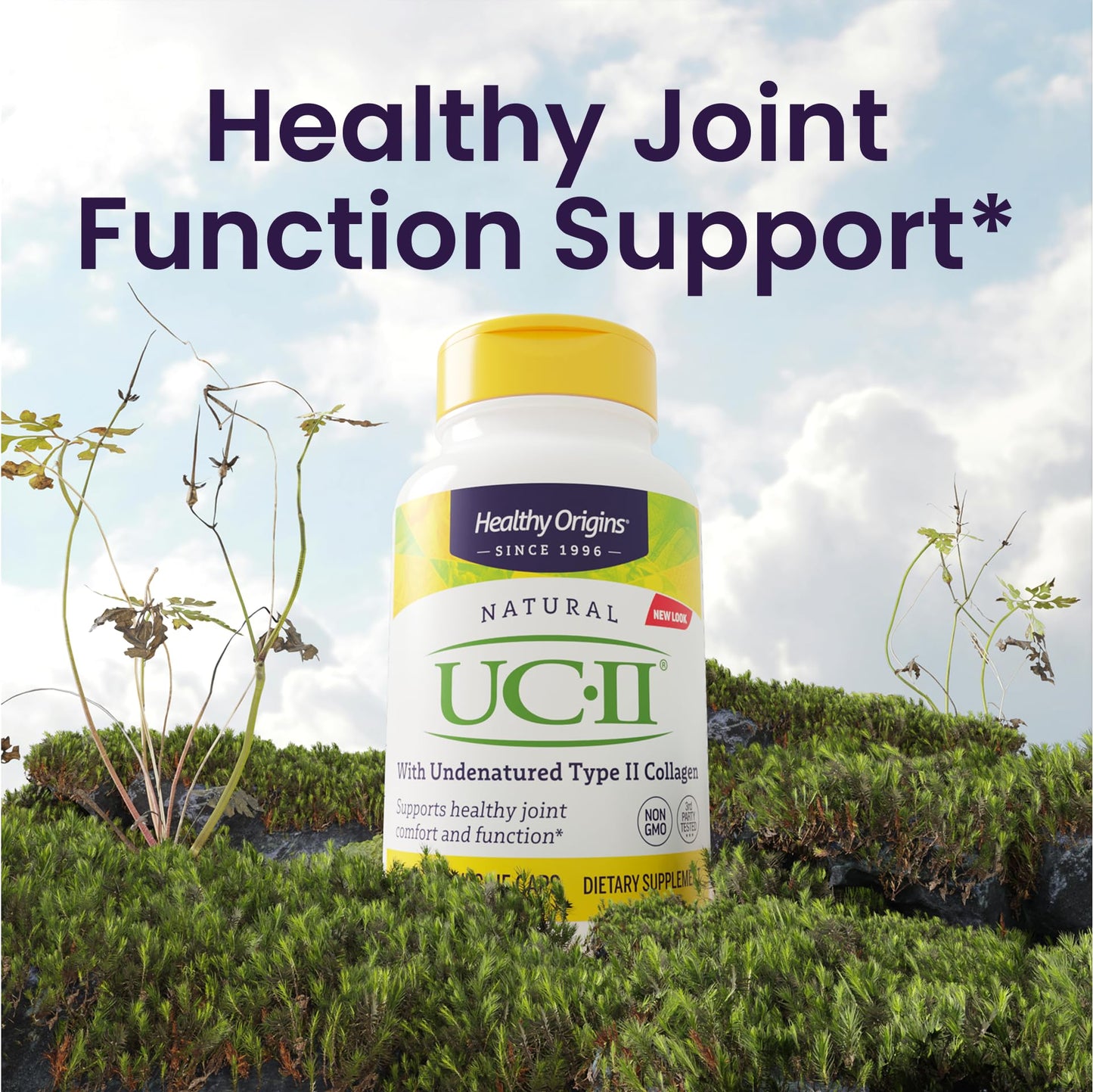 Healthy Origins UC-II Collagen 40 mg, 120 Veggie Caps