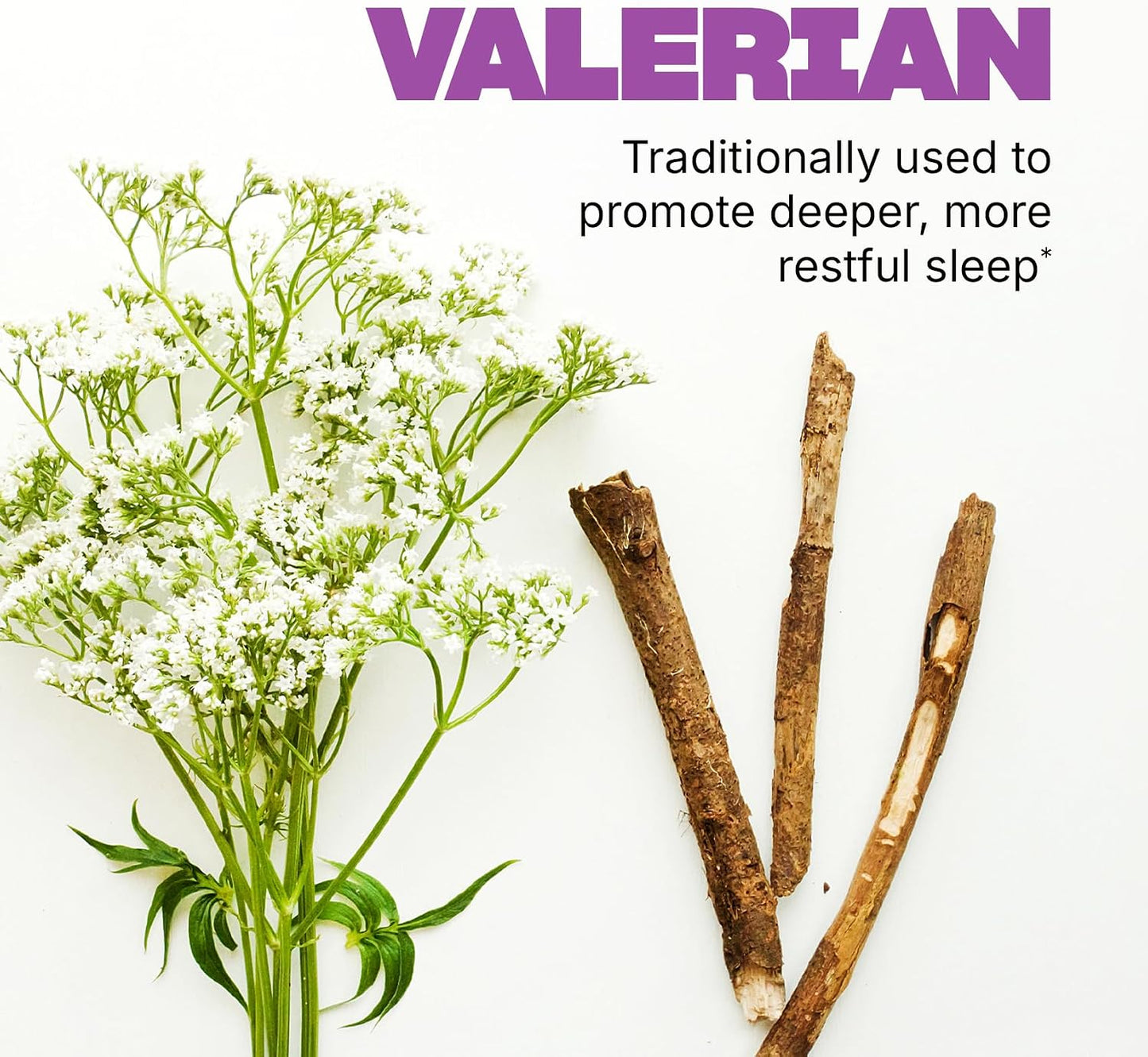 Swisse Sleep Valerian Root Capsules | Valerian Root Extract + Magnesium + Licorice + Hops | Melatonin Free Herbal Sleep Supplement | Helps Relieve Nervous Tension | 120 Tablets