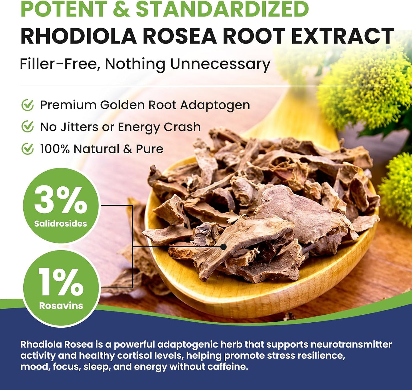 Totaria Rhodiola Rosea Supplement 600mg, 4 Month Supply, 3% Salidrosides 1% Rosavins, Vegan Golden Root Adaptogen Capsules, Rhodiola Rosea Extract Powder, for Stress, Mental Focus, Energy, 120 Counts