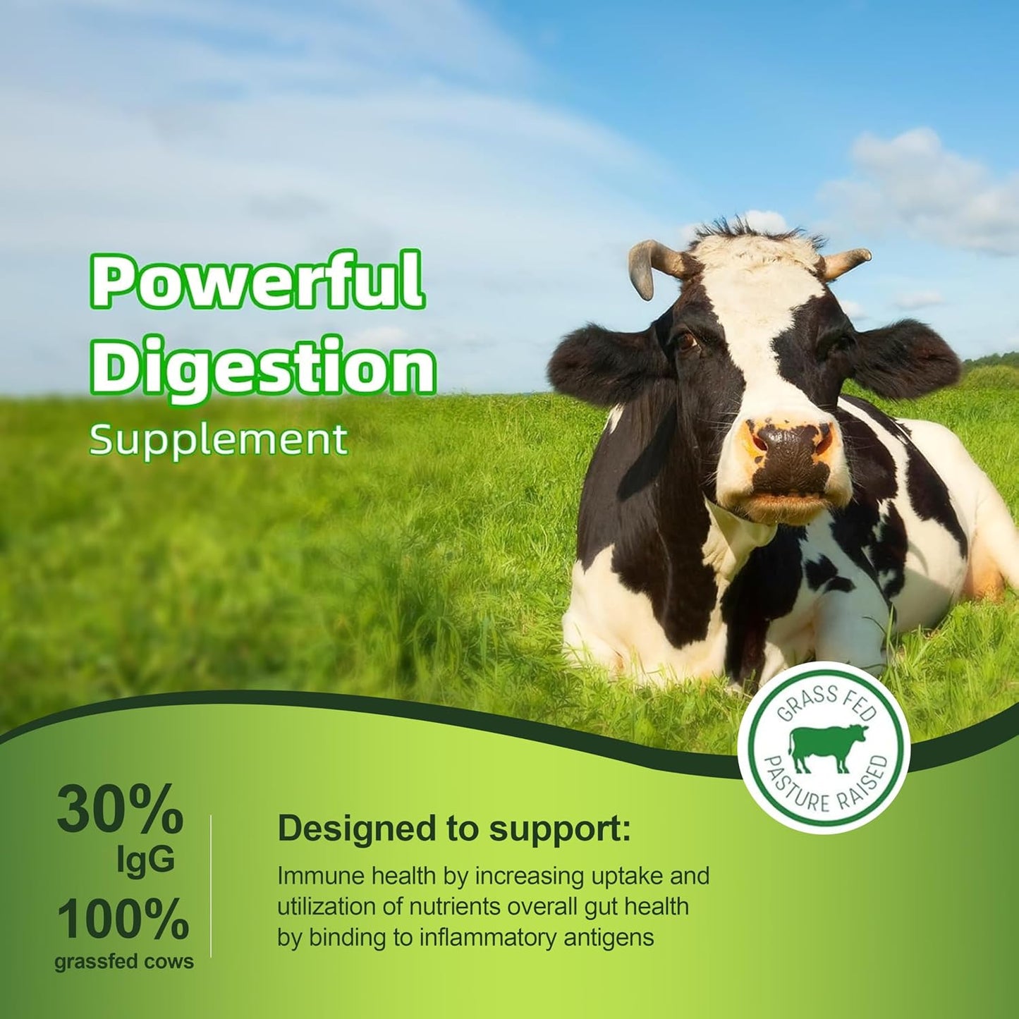 Mila Miamor Bovine Colostrum Supplement 500mg Per Capsule, 30% IgG - Gut Health, Immune Support and Digesitive Wellness - Non-GMO, Third-Party Tested, Made in USA - 60 Capsules