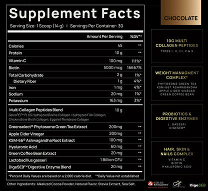 TERRA ELMNT Premium Chocolate Multi Collagen Powder for Women Weight Management