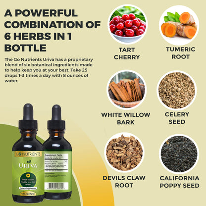 Go Nutrients Uriva Advanced Uric Acid Flush Cleanse with Tart Cherry Extract Celery Seed Extract Turmeric
