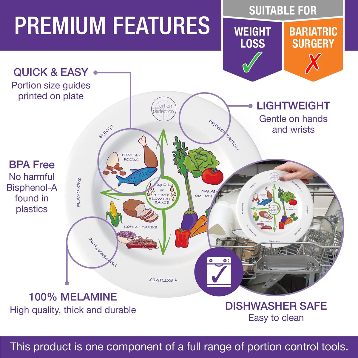 Portion Perfection Melamine 2 Pack 10” Portion Plates for Adults with Low Calorie Meal