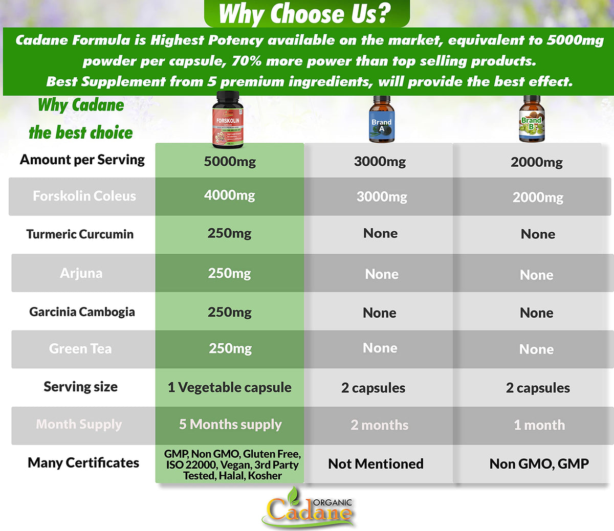 Forskolin Supplements Capsules 5000mg, 5 Month Supply, 150 Capsules & Turmeric Curcumin