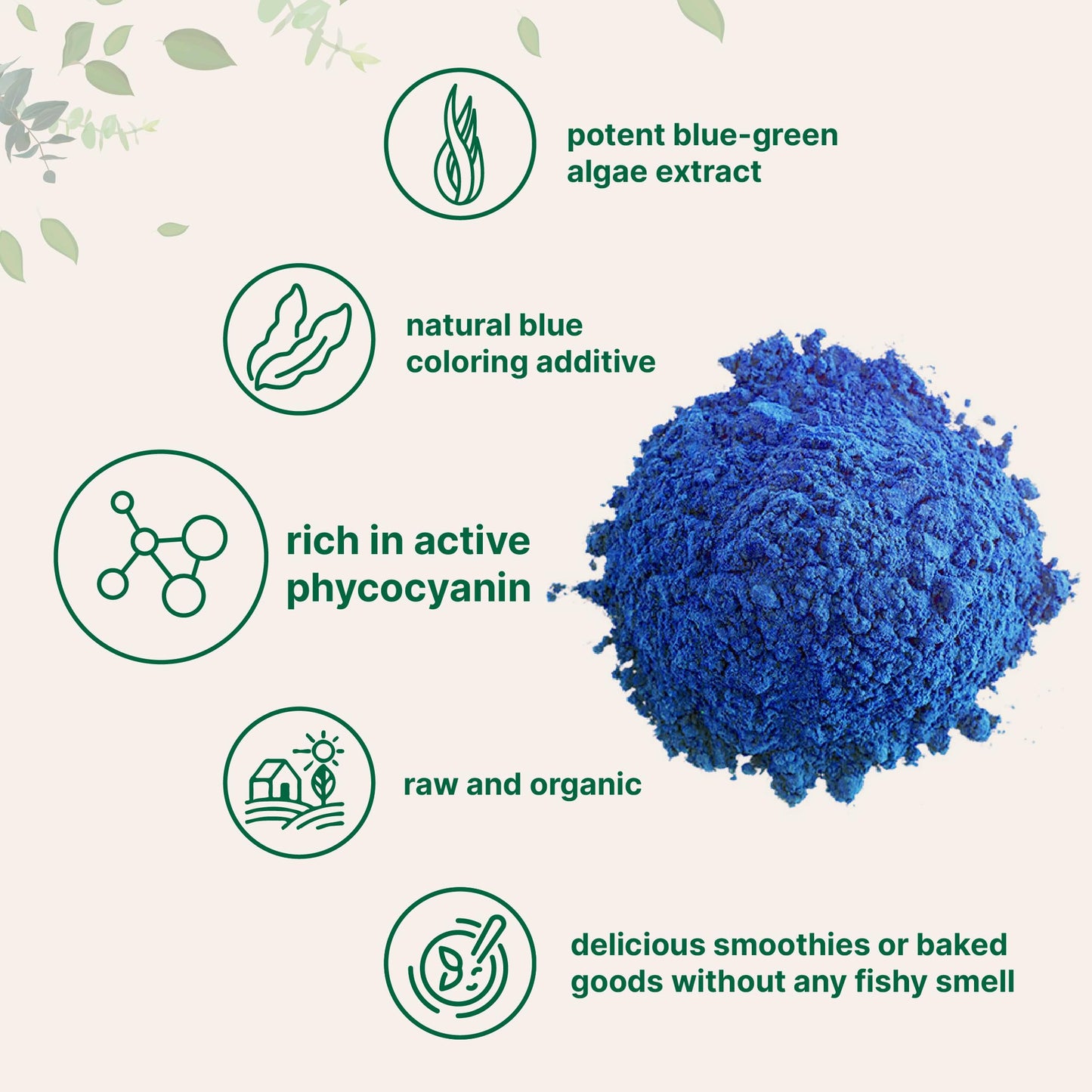 Organic Blue Spirulina Powder (Phycocyanin Extract), 30 Servings - No Fishy Smell, 100% Vegan Protein from Blue-Green Algae, Natural Luminous Food Coloring for Smoothies, Baking, Drinks & Cooking