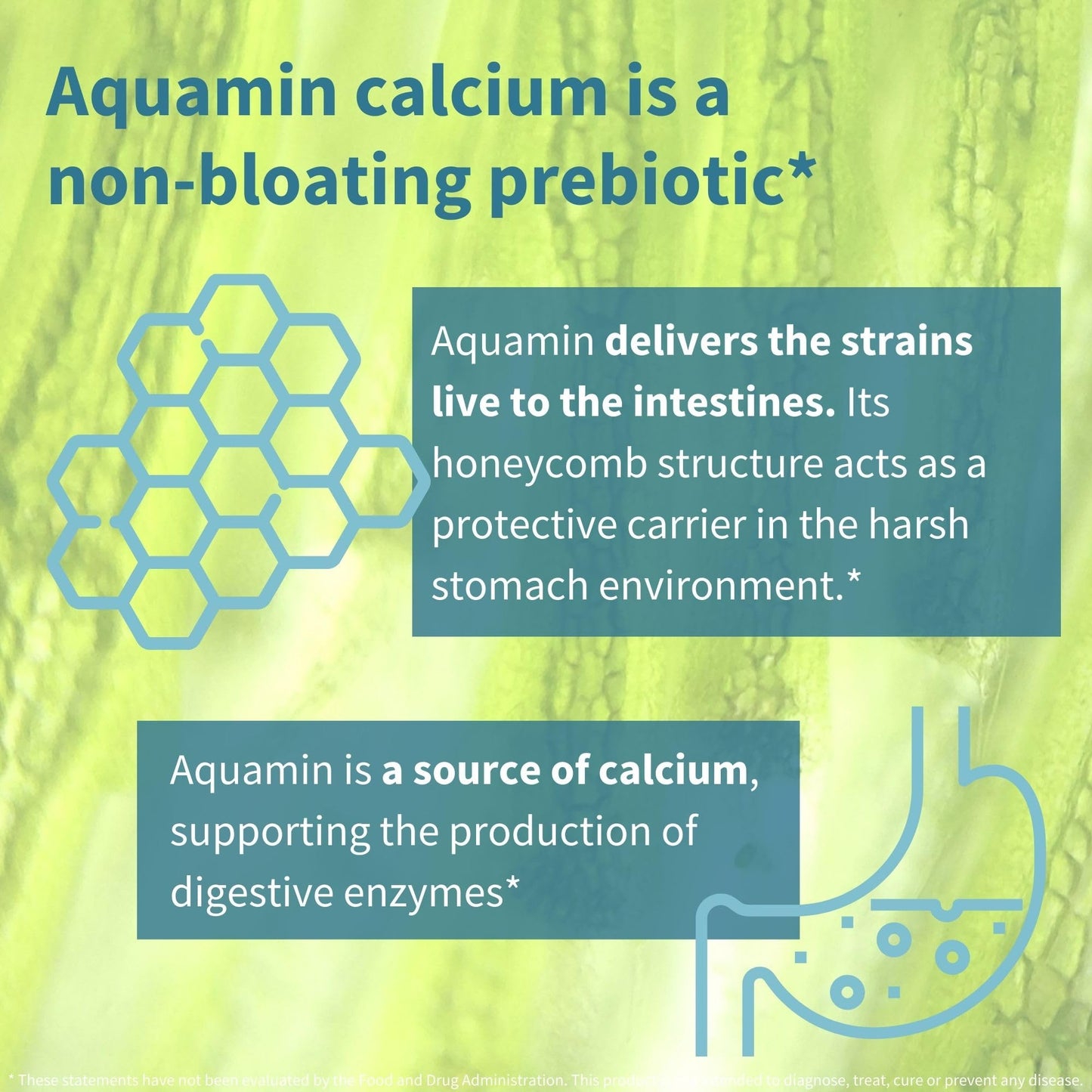 Igennus Live Cultures+ Lab4, Lactobacillus Acidophilus & Bifidobacterium | Lactis & Bifidum, 2 in 1 Probiotics & Prebiotic, 25 Billion CFU, Gut Health Support, Non-Bloating, Non-GMO, 30 Capsules