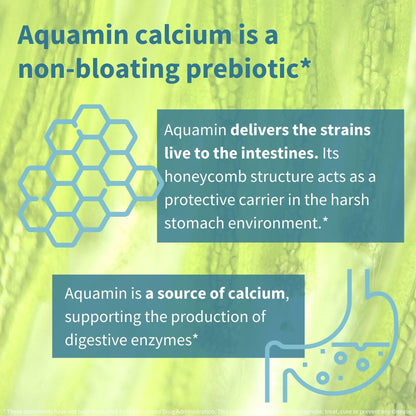 Igennus Live Cultures+ Lab4, Lactobacillus Acidophilus & Bifidobacterium | Lactis & Bifidum, 2 in 1 Probiotics & Prebiotic, 25 Billion CFU, Gut Health Support, Non-Bloating, Non-GMO, 30 Capsules