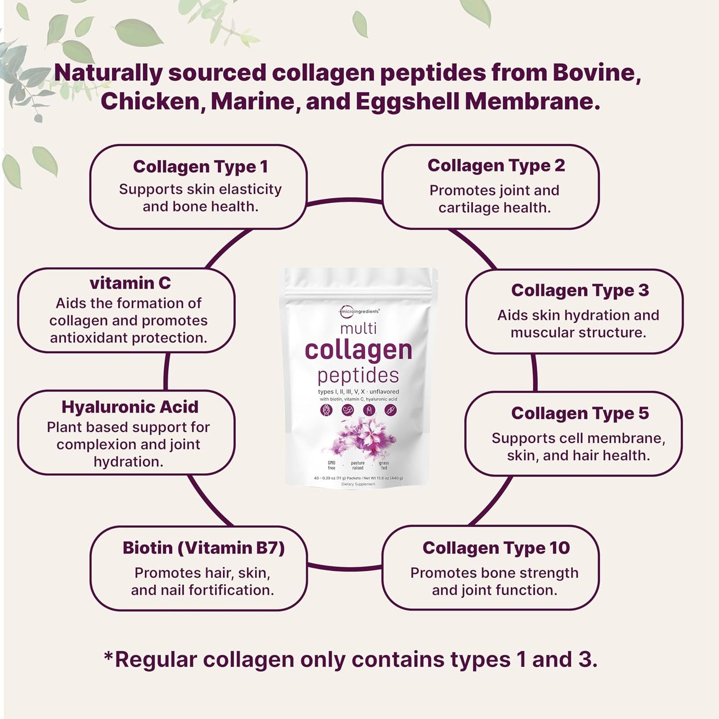 Micro Ingredients Multi Collagen Peptides Powder, 40 Stick Packs | Type I, II, III, V, X + Biotin, Vitamin C & Hyaluronic Acid | Unflavored | Supports Hair, Skin & Joint Health | Keto, Non-GMO