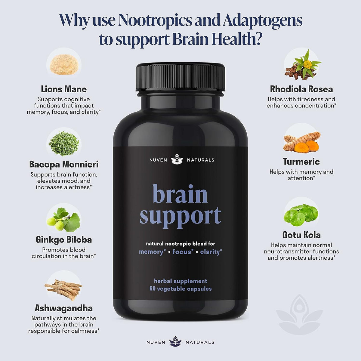 Brain Support Supplement - Natural Memory and Focus Supplement with Lion’s Mane, Ginkgo Biloba, Bacopa Monnieri & Ashwagandha Root - Natural Nootropics & Brain Booster | 60 Capsules