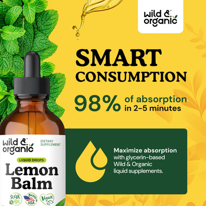 Wild & Organic Lemon Balm Tincture - Good Mood Support - Melissa Lemon Balm Extract Drops - Add to Tea for Relaxation - Vegan, Sugar & Alcohol-Free Leaf Supplement - 4 fl oz
