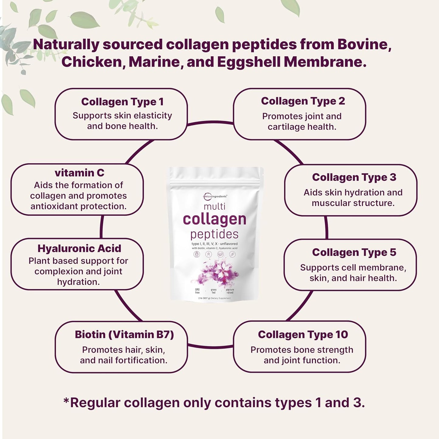 Micro Ingredients Multi Collagen Peptides Powder, 2lb (82 Servings) – Hydrolyzed Type I,II,III,V,X with Biotin, Hyaluronic Acid, Vitamin C – Unflavored Collagen for Women & Men, Easy Dissolve