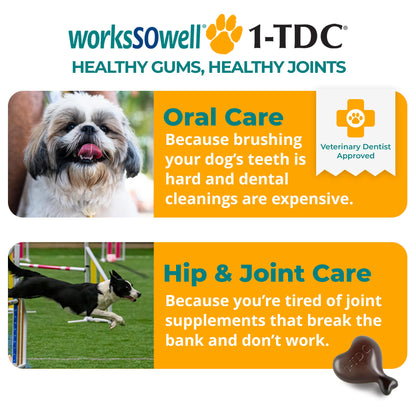 1TDC WorksSoWell Dual Action Hip and Joint Supplement for Dogs & Cats - for Large & Small Breed - Great for Oral Health, Stamina Recovery & Arthritis Pain Relief -120 ct