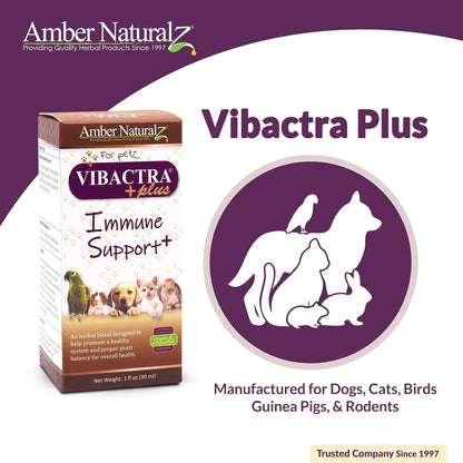 Amber NaturalZ Vibactra Plus for Pets, Immune Health & Yeast Balance, 1 OZ | Supports overall immune health, stomach & respiratory health, helps pets maintain normal yeast balance & a healthy microbiome