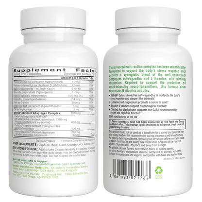 Igennus High Strength Ashwagandha KSM 66, Magnesium, & L-Theanine 3 in 1 Stress, Calm and Replenishment Complex, Clean Label, 60 Fast Acting Capsules | 3 in 1 Stress, Calm and Replenishment Complex, Clean Label, Fast Acting, 60 Capsules