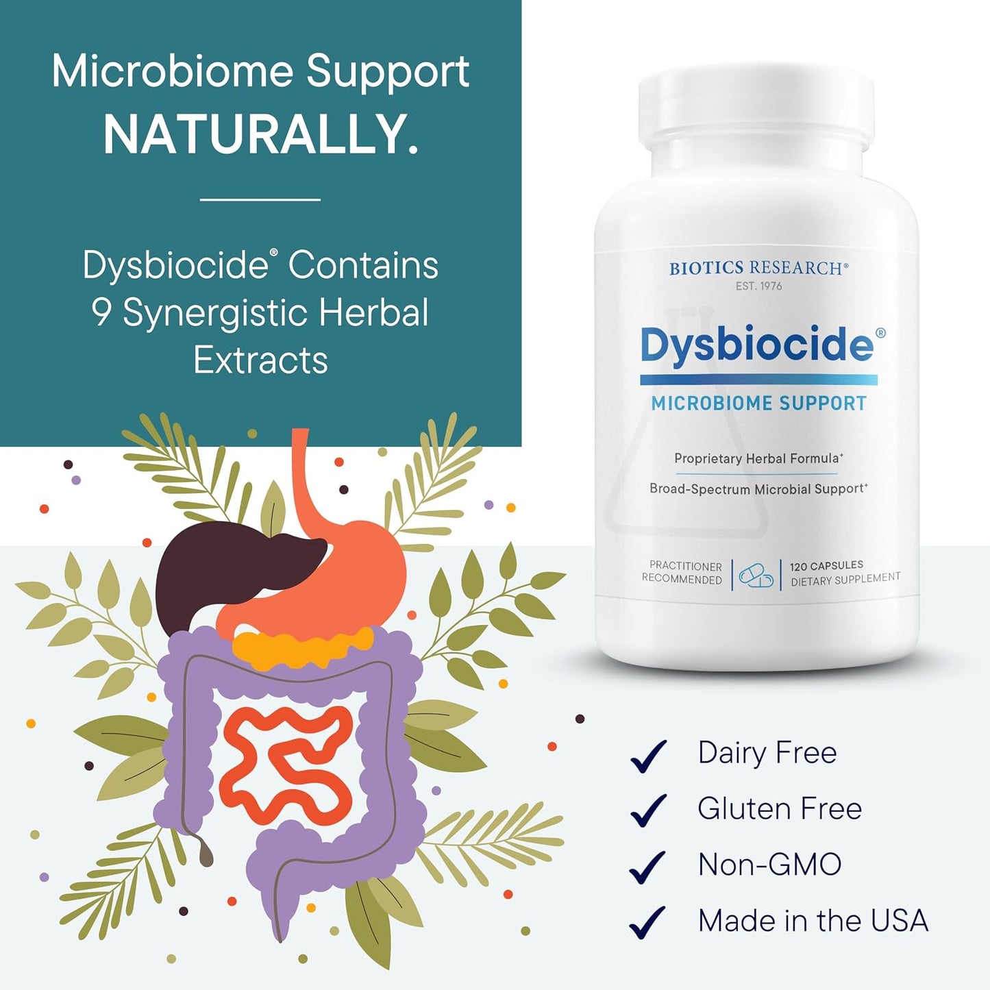 Biotics Research Dysbiocide Synergistic Botanical Blend Supports Normal Gut Health for Women & Men - Digestive Health Supplement - Supports Balanced Gut microbiome - 120 Capsules