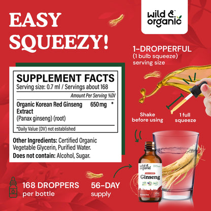 Wild & Organic Korean Panax Ginseng Extract Liquid Drops - Immune & Energy Support - Red Ginseng Root Supplement - Easy to Add to Tea - Vegan, Sugar & Alcohol-Free Tincture - 4 fl oz