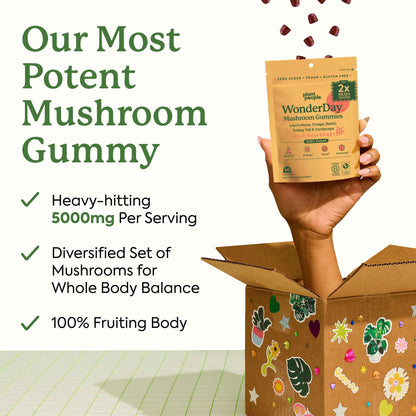 Plant People WonderDay Mushroom Gummies for Energy, Raspberry, 60ct
