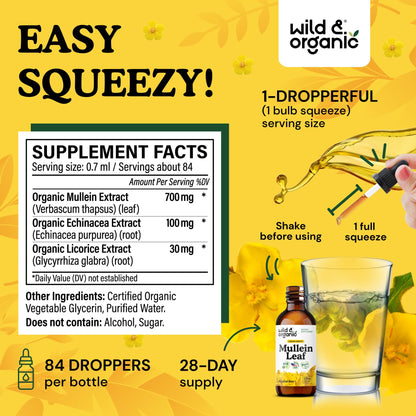 Wild & Organic Mullein Drops for Lungs - Cleanse and Detox - Liquid Mullein Leaf Extract for Lungs with Echinacea - Add to Tea - Verbascum Thapsus Tincture - Sugar & Alcohol-Free Supplement - 4 fl oz