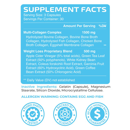 Multi Collagen Protein Peptides Fat Burner Supplements | Types I,II,III,IV, & X With Thermogenic