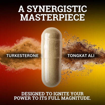 Black Forest Turkesterone Tongkat Ali Supplement 1000mg per Serving (Max Purity 95%) Turkesterone Supplement for Men (Tongkat Ali for Men Longjack 200:1) Similar to Tongkat Ali Fadogia Agrestis