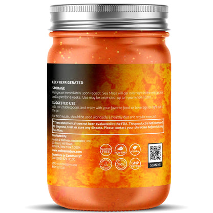 WELLNESS LABSRX Irish Sea Moss Gel Raw - Wildcrafted Superfood Seamoss Gel - Pineapple Mango Flavor, Vitamin and Mineral-Rich from Pristine Caribbean Waters - 10 oz.