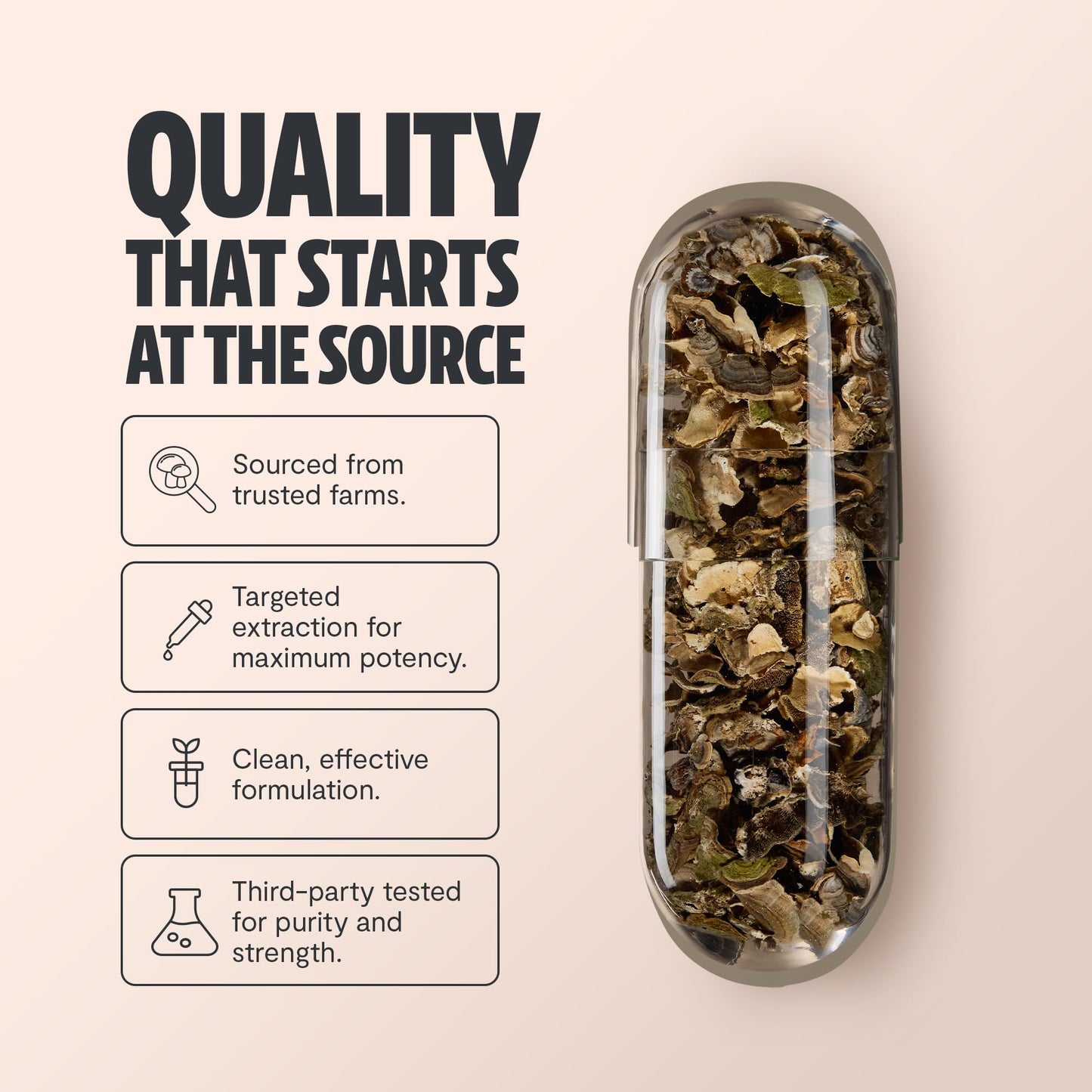 FreshCap Mushrooms Premium Organic Lions Mane Capsules - 14:1 Fruiting Body Extract with 31% Beta-Glucans - 3rd-Party Tested Nootropic for Clarity, Focus & Cognitive Support (120 Capsules)