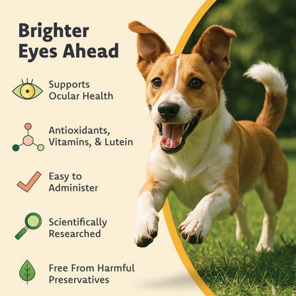 Vision Supplement for Medium to Large Dogs, 11+ lb, 90 Count | Veterinarian-Formulated Supplement Specifically Supports Eye Health; Unflavored & Easy to Give