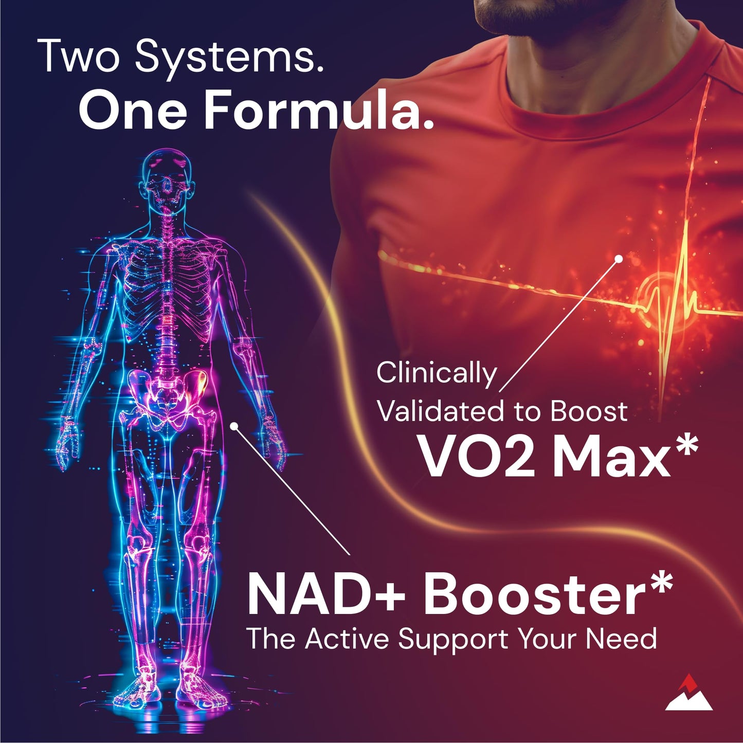 Novex Biotech Oxydrene NAD+ Enhancer - Natural Supplement Promoting Metabolism and Cardiovascular Support for Men and Women - (60 Capsules)