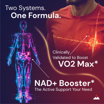 Novex Biotech Oxydrene NAD+ Enhancer - Natural Supplement Promoting Metabolism and Cardiovascular Support for Men and Women - (60 Capsules)