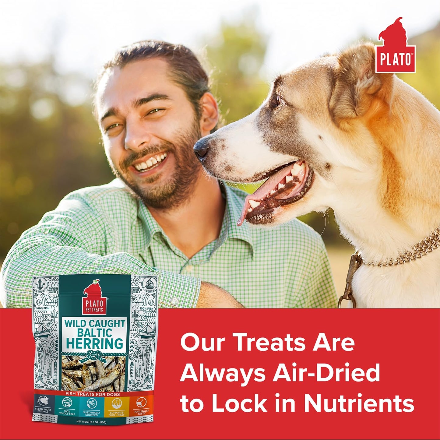 Plato Single Ingredient Wild-Caught Baltic Herring Dog Treats, Air-Dried Whole Fish, Omega-Rich Skin & Coat Support, 8.5 oz