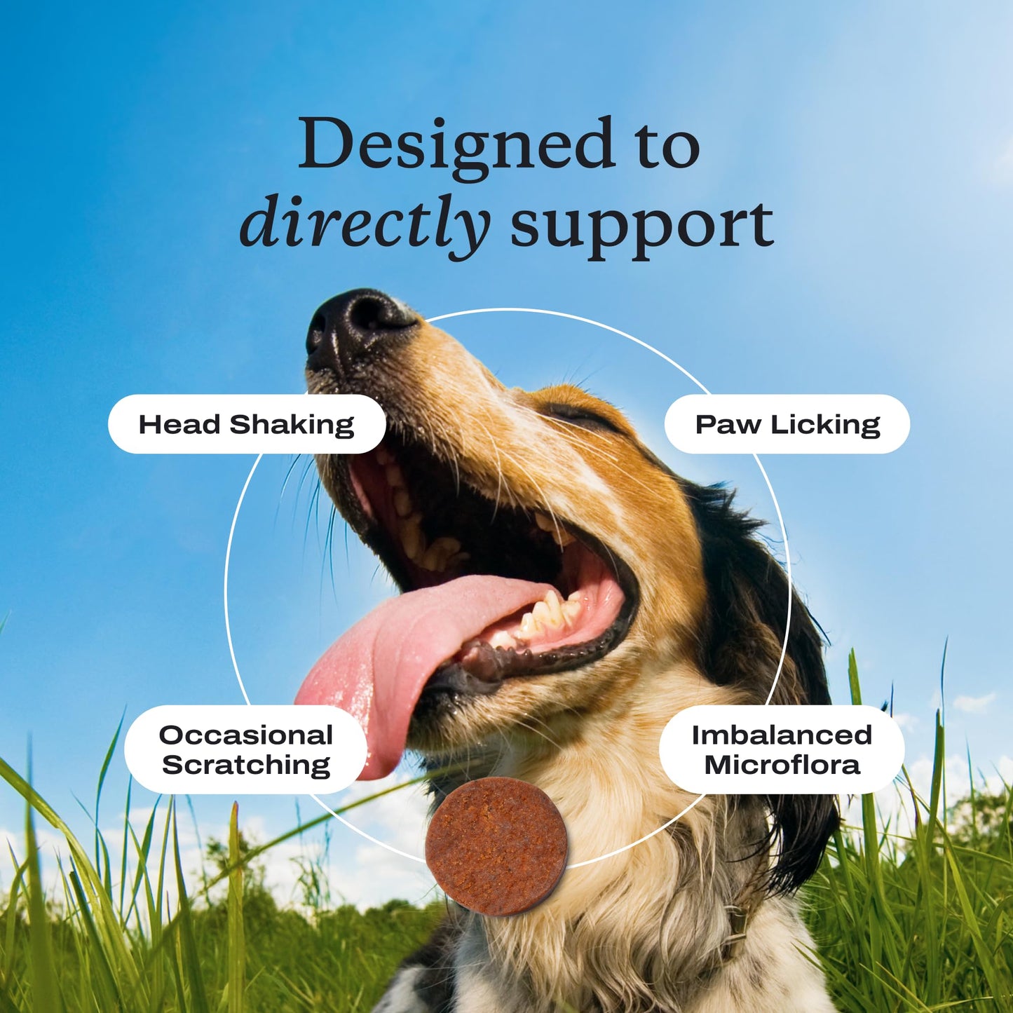 PetLab Co. Allergy & Immune Probiotic Chews, 30 Soft Chews, Pork | Omega-3s, colostrum and prebiotics to support yeast balance, skin health and immune function