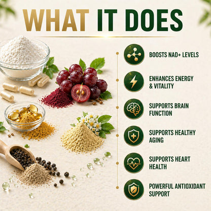 Liposomal NAD+ Supplement 1000mg NR & NMNH with Trans-Resveratrol, Quercetin Phytosome, CoQ10 Ubiquinol, Fisetin, Pterostilbene, R-ALA, TMG, BioPerine, Astaxanthin, 120 Vegan Capsules