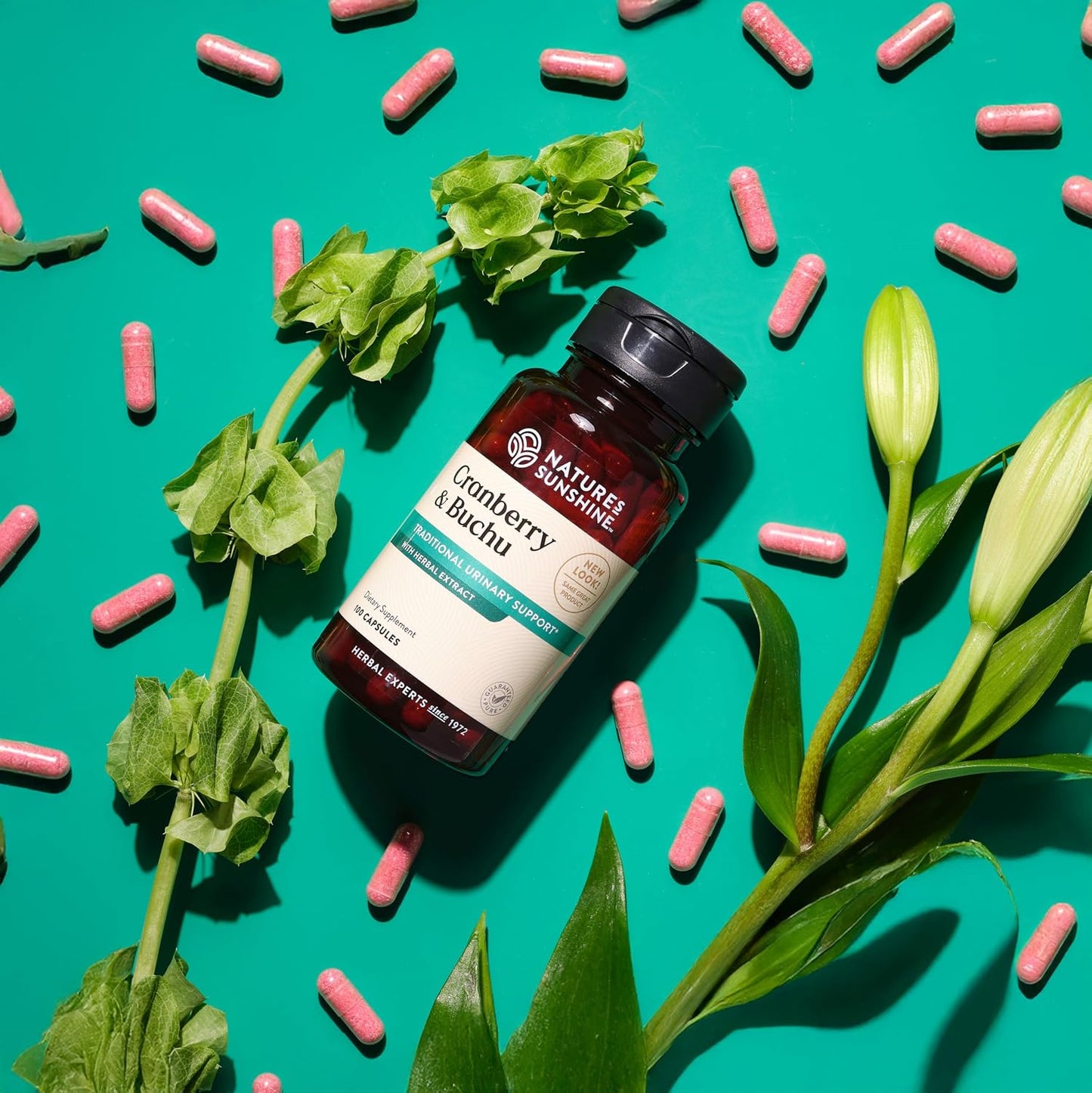 Nature's Sunshine Cranberry and Buchu Concentrate 100 Capsules