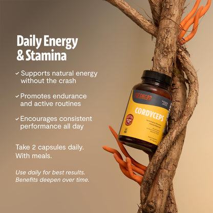 FreshCap Mushrooms Premium Organic Lions Mane Capsules - 14:1 Fruiting Body Extract with 31% Beta-Glucans - 3rd-Party Tested Nootropic for Clarity, Focus & Cognitive Support (120 Capsules)