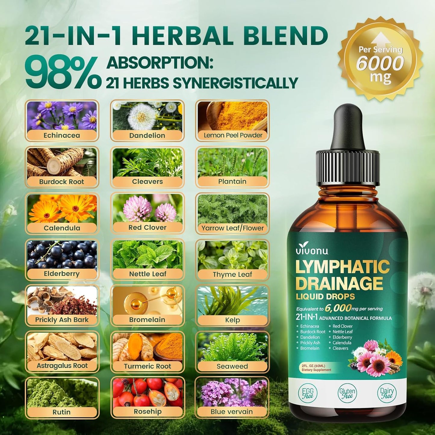 VivoNu 21-in-1 Liposomal Lymphatic Drainage Drops – Advanced Herbal Detox & Immune Booster with Echinacea, Burdock Root, Elderberry & Seaweed Extract – 6000mg High Potency, 2 fl oz